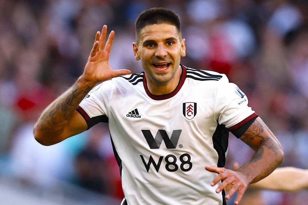 Aleksandar Mitrovic (premierleague.com)