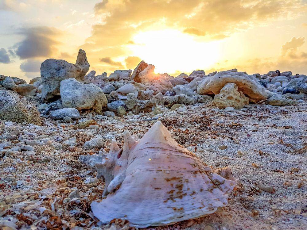 Mustique, Saint Vincent (unsplash.com/vincydre)
