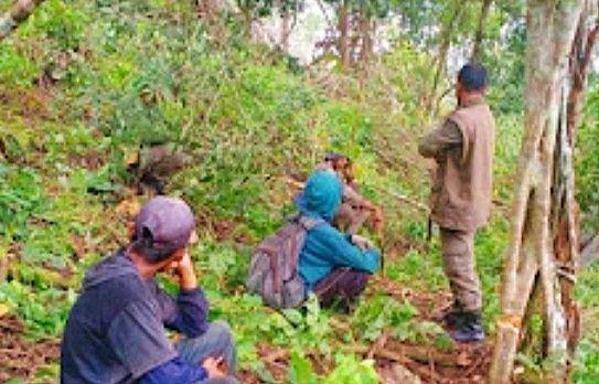 8.500 Hektare Hutan Lindung di Bima Dibabat Jadi Lahan Pertanian