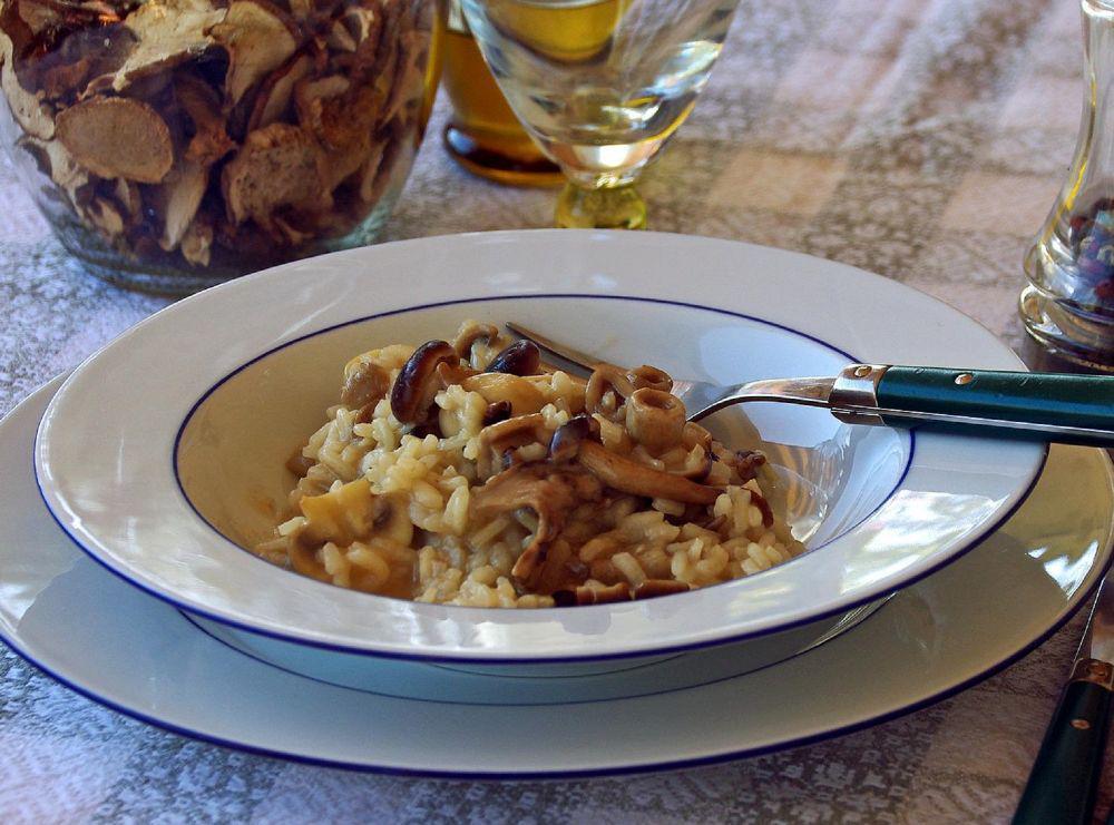 ilustrasi risotto jamur (pixabay.com/Valter Cirillo)