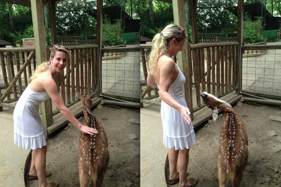 potret perilaku konyol hewan (imgur.com/user/Mstewy13)
