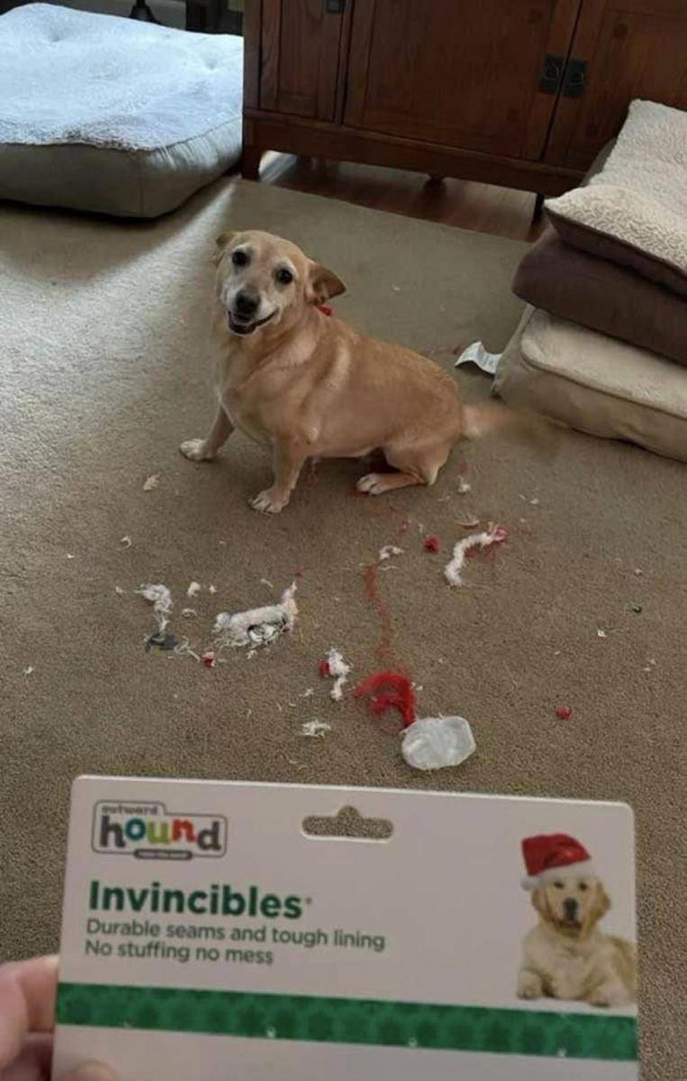 potret hadiah kocak dari orang terdekat (reddit.com/user/rfoles)