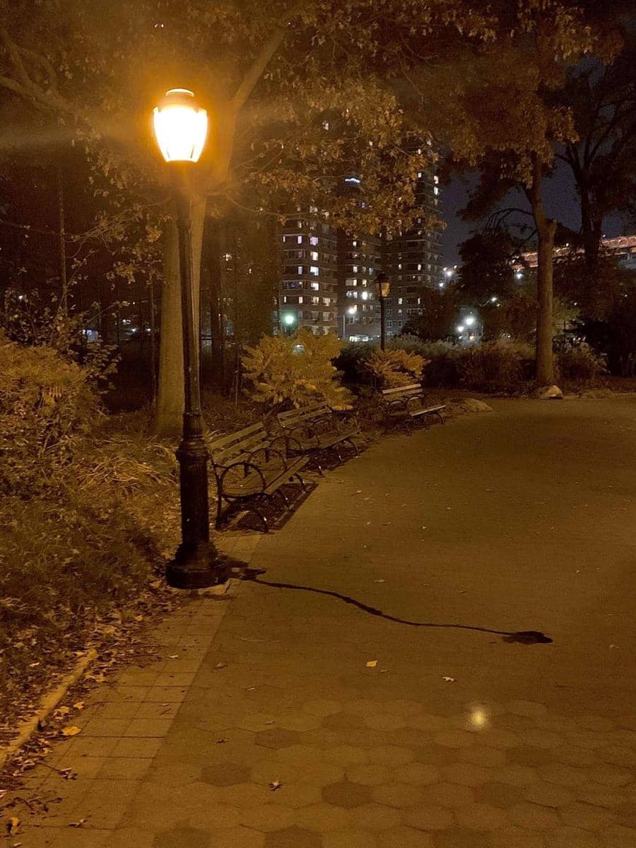 potret foto yang bikin salah paham (reddit.com/user/JayWex)