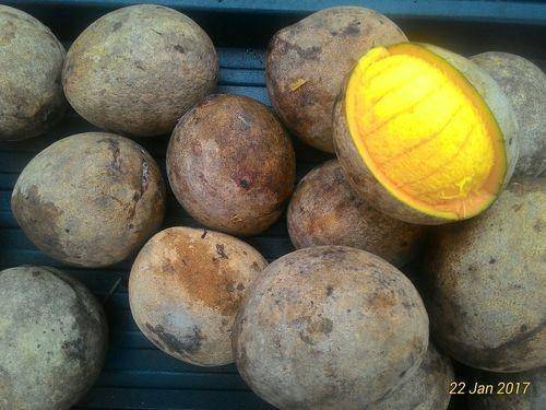 Buah Bambangan (dok. Istimewa)