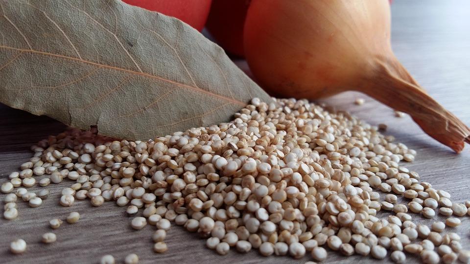 ilustrasi quinoa (pixabay.com/Susana Martins)
