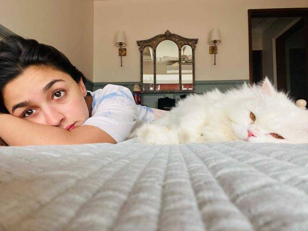 Alia Bhatt dan kucingnya (instagram.com/aliaabhatt)