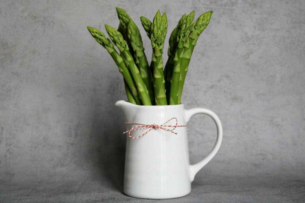 Tanaman asparagus (pixabay.com/Kranich17)