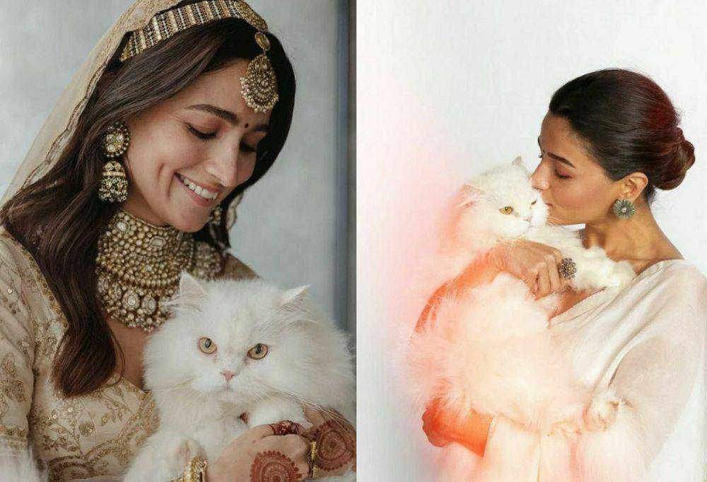 Alia Bhatt dan kucingnya (instagram.com/aliaabhatt)