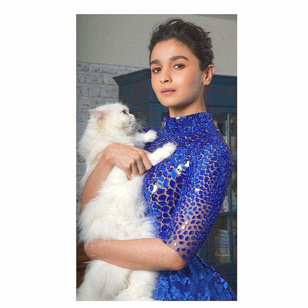 Alia Bhatt dan kucingnya (instagram.com/aliaabhatt)