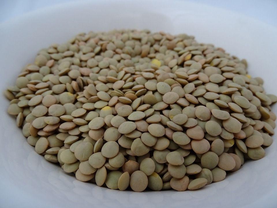 ilustrasi lentil (pixabay.com/Sandra Vélez)