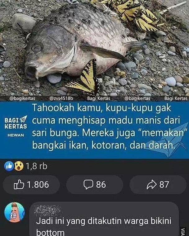komentar lucu di Facebook (1cak.com)