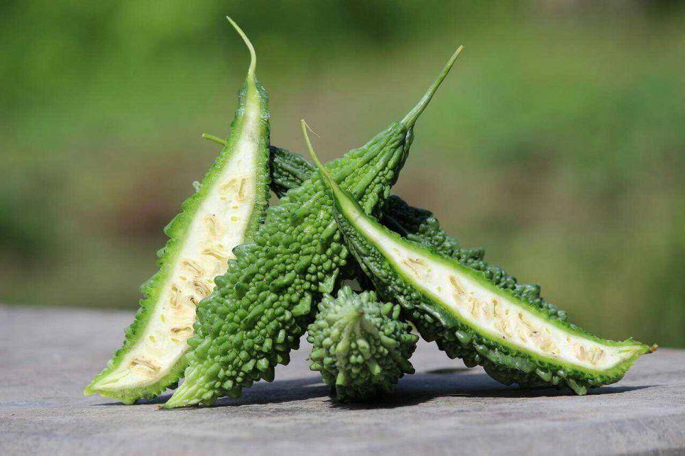 Buah pare (pixabay.com/Paresh85)