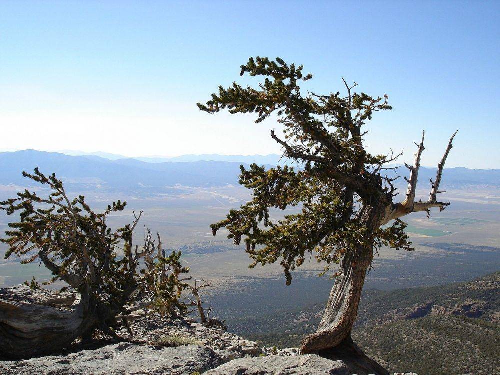 Great Basin (pixabay.com/David Mark)