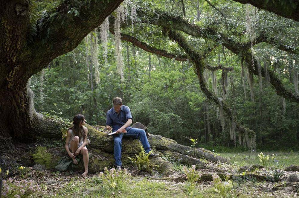 dok. Sony Pictures/ Where the Crawdads Sing