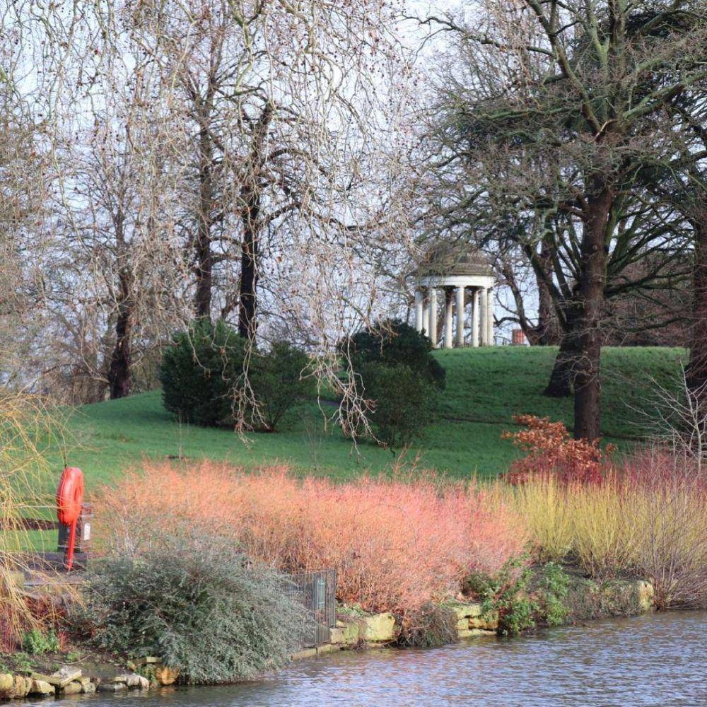 Salah satu spot foto Kew Gardens penuh tanaman. (instagram.com/kewgardens)