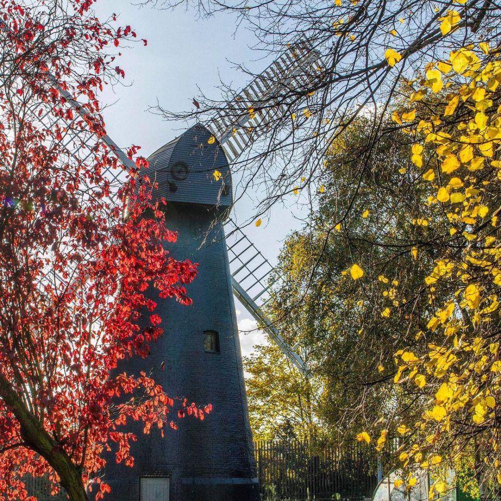 potret kincir angin Brixton dikelilingi taman indah (instagram.com/brixtonwindmill)