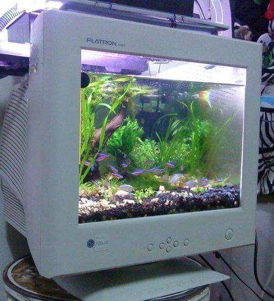 potret solusi kocak dan kreatif (reddit.com/user/alien_substance)