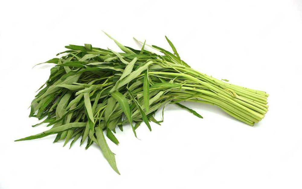 kangkung (freepik.com/photour.1904)
