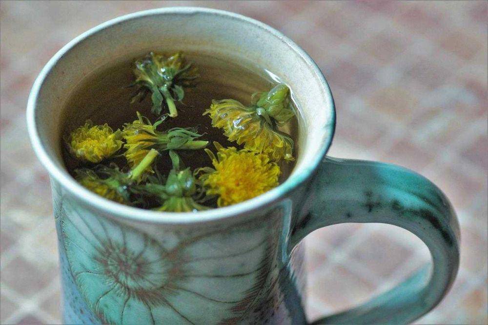 ilustrasi teh bunga dandelion (pixabay.com/Ivabalk)