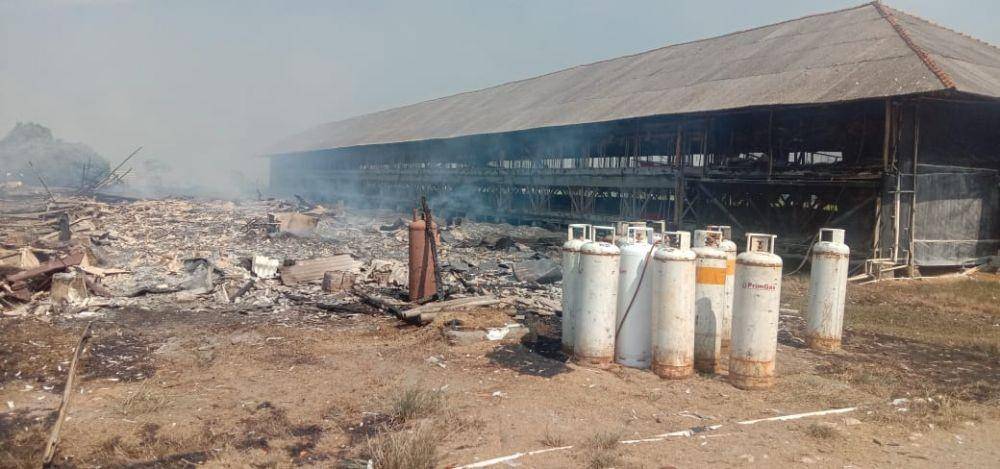 Kandang ayam terbakar di Bekasi, ribuan anak ayam hangus. (Dokumen Damkar Kabupaten Bekasi) 