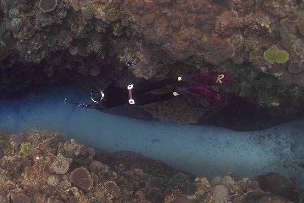 Cave diving sebagai jenis diving (pexels.com/7inchs)