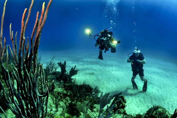 Deep diving sebagai jenis diving (pexels.com/pixabay)