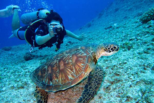 Drift diving sebagai jenis diving (pexels.com/richard-segal-732340)