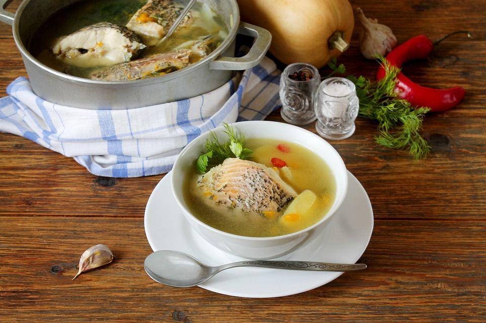 Ide Menu Hari Ini: Resep Sup Ikan Gabus yang Nikmat dan Segar