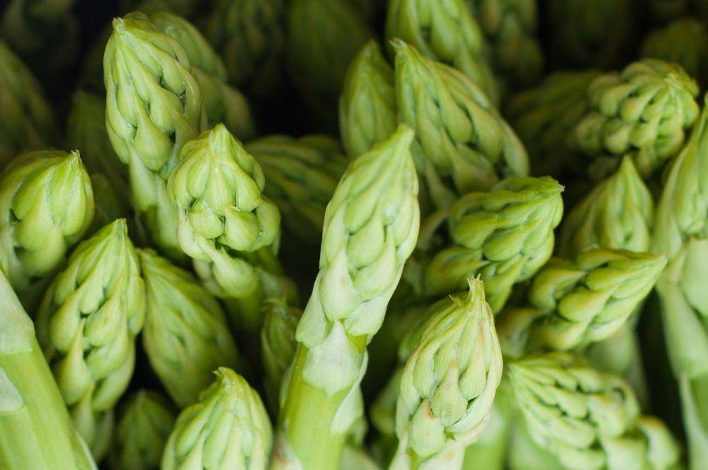 asparagus (pixabay.com/Pexels)