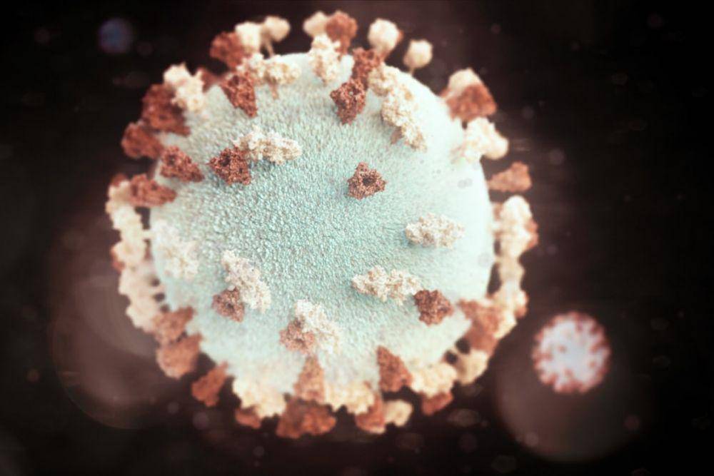 Ilustrasi virus Marburg. (Unsplash.com/CDC)