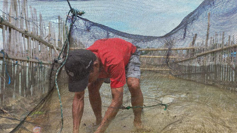 Budaya Wayamasapi di Danau Poso yang Terancam Hilang
