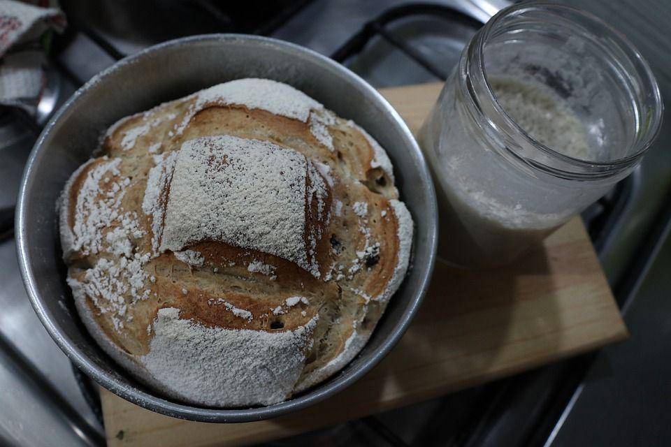 ilustrasi sourdough starter dan roti (pixabay.com/Hernando Rojas López)
