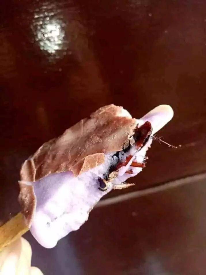 momen apes saat makan es krim (twitter.com/fbreceh)