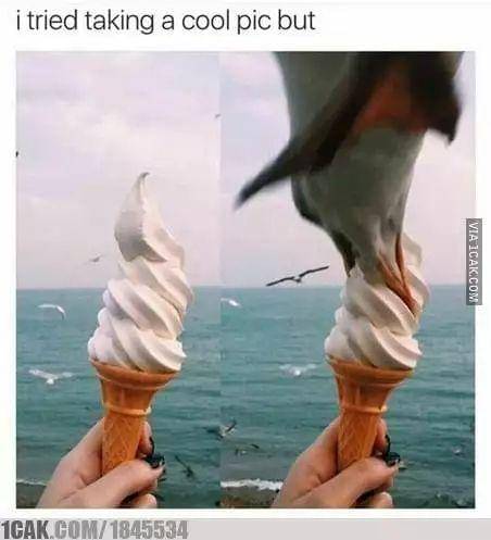 momen apes saat makan es krim (1cak.com)