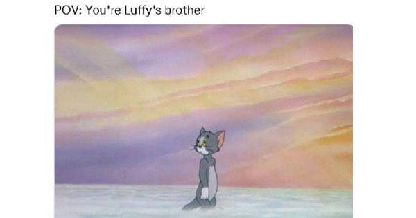 Nasib apes yang selalu menimpa karakter yang jadi saudara Luffy ( Dok. twitter.com/@VivekDMurmu)