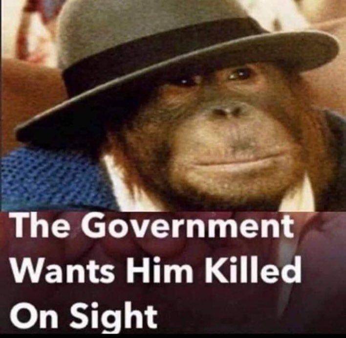 World Goverment saat tahu Sabo berhasil kabur ( Dok. twitter.com/@maszy112 )