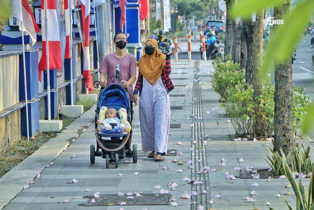 Potret bunga tabebuya yang berguguran di Surabaya (instagram.com/dishubsurabaya)