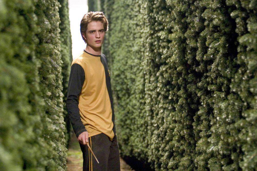 Cedric Diggory (dok. Warner Bros./Harry Potter and the Goblet of Fire)