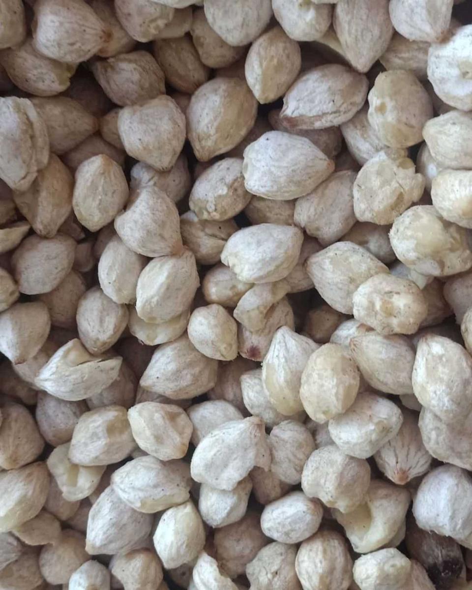 5 Tips Menyimpan Kemiri supaya Awet dan Aroma Tetap Sedap