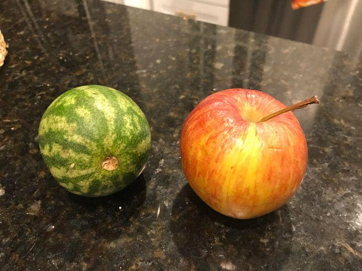 potret unik penemuan unik (reddit.com/user/DEV_astated)