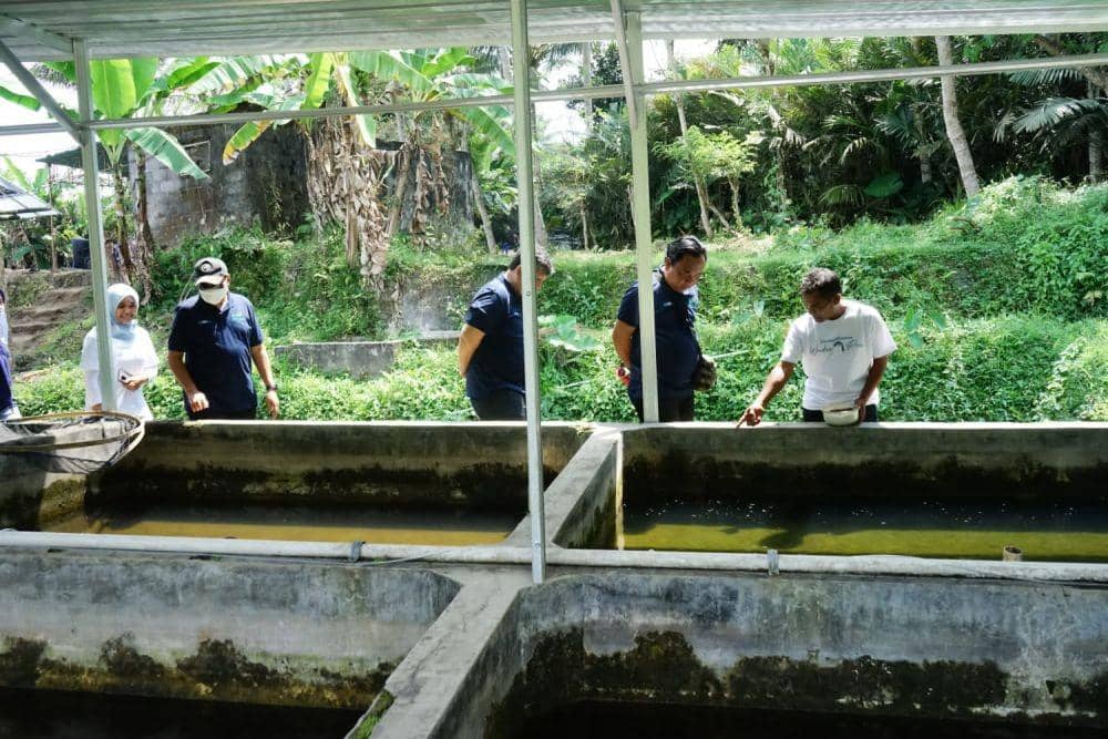 Kunjungan PLN dan Gamawader di Pembudidaya ikan Mina Makmur Rejo Mulyo Turi, Sleman, beberapa waktu lalu. (Istimewa/PLN)