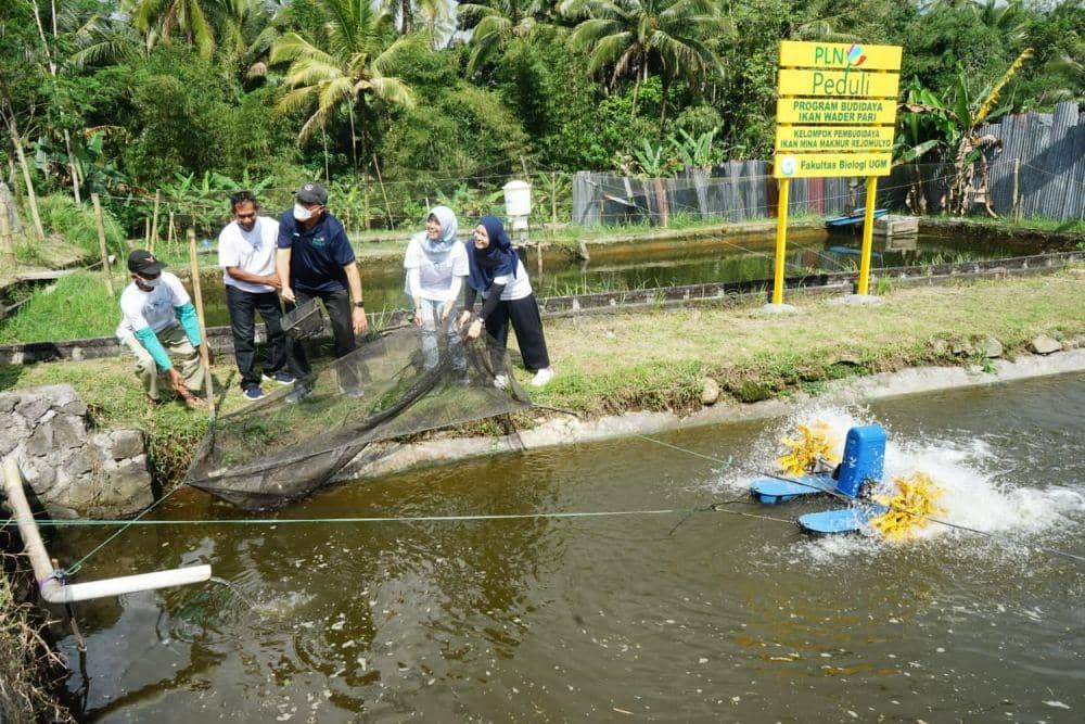 Kunjungan PLN dan Gamawader di Pembudidaya ikan Mina Makmur Rejo Mulyo Turi, Sleman, beberapa waktu lalu. (Istimewa/PLN).