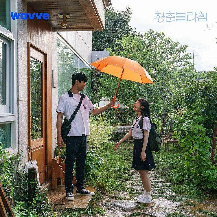 cuplikan scene Season of Blossoms (instagram.com/wavve.official)