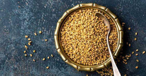ilustrasi Fenugreek (pinterest.com/Healthline)