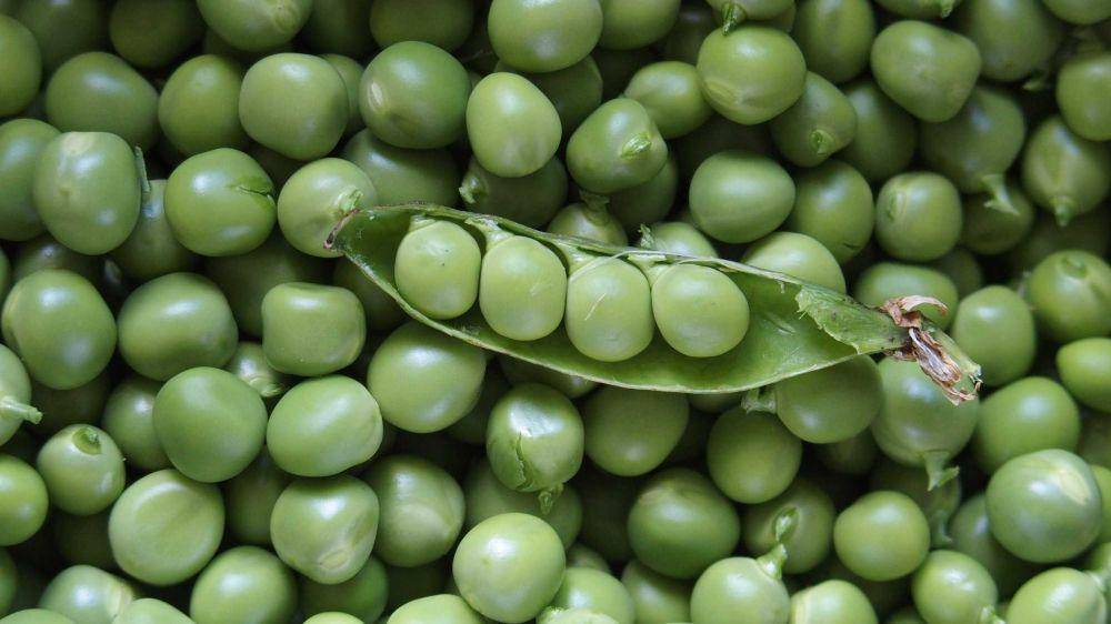 ilustrasi kacang polong (unsplash.com/@jean_mi_g)