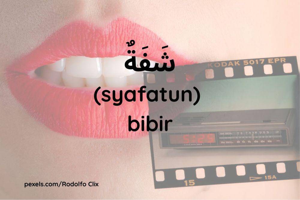 ilustrasi bibir (Dok.pribadi/Maisix Dela Desmita)