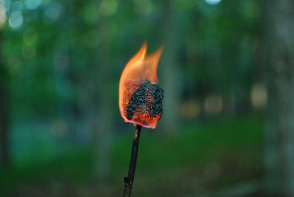 ilustrasi membakar terasi (dok. IDN Times)