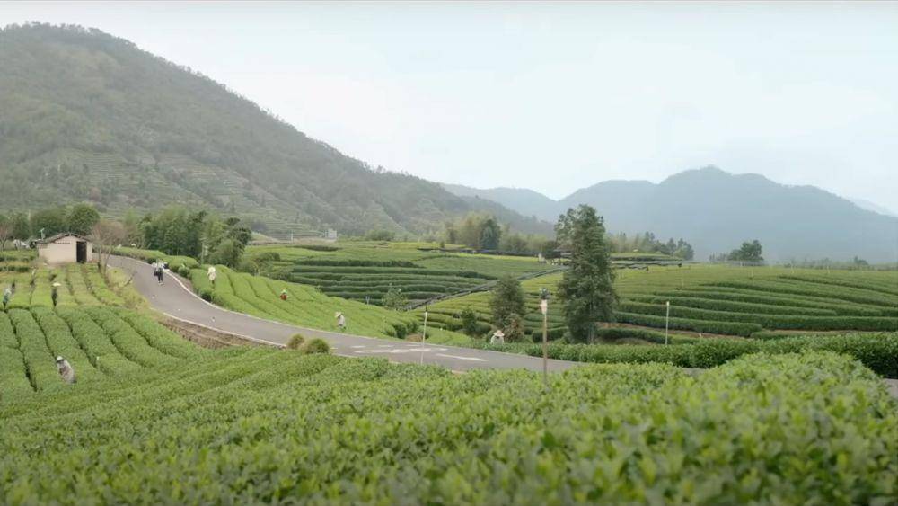 cuplikan drama A Romance of the Little Forest (youtube.com/Croton MEGA HIT 克頓傳媒 史詩傑作)