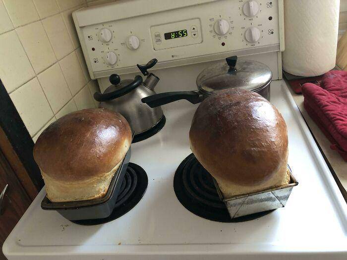 gagal bikin kue kocak (reddit.com/canned_beanz)