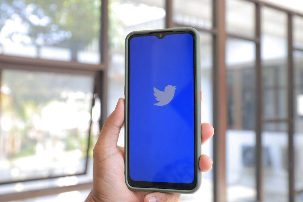 ilustrasi Twitter (Pexels/ greenwish _)